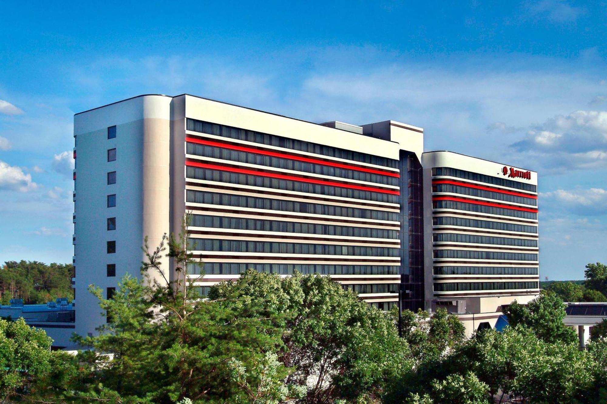 BWI Airport Marriott Hotel Linthicum Ngoại thất bức ảnh